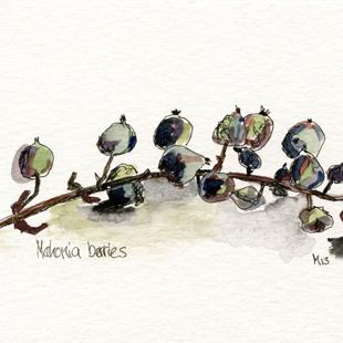 Art: Mahonia Berries by Artist Gabriele Maurus