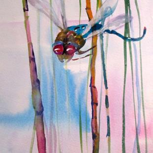 Art: Marsh Dragonfly by Artist Delilah Smith