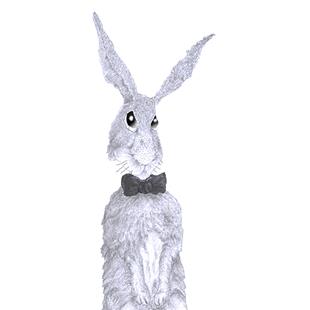 Art: HARE IN BOW TIE - h3956 by Artist Dawn Barker