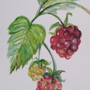 Art: Raspberries No. 3 by Artist Delilah Smith