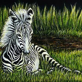 Art: Zebra Foal  (SOLD) by Artist Monique Morin Matson