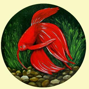 Art: Red Siamese Fighting Fish #2 by Artist Rita C. Ford