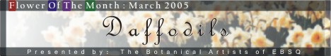 Banner for Flower of the Month: Daffodil art show