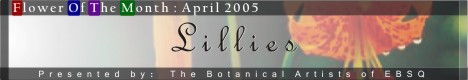 Banner for Flower of the Month: Lillies art show