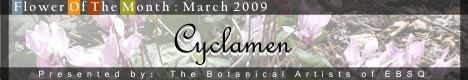 Banner for Flower of the Month: Cyclamen art show