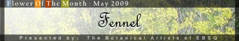Banner for Flower of the Month: Fennel art show