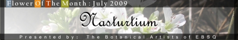 Banner for Flower of the Month: Nasturtium art show