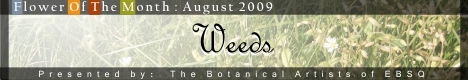 Banner for Flower of the Month: Weeds art show