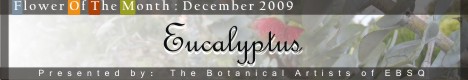 Banner for Flower of the Month: Eucalyptus art show