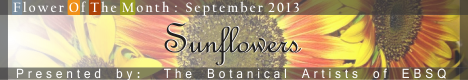 Banner for Flower of the Month: Sunflowers art show