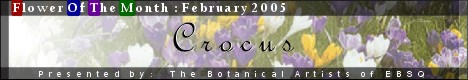Banner for Flower of the Month: Crocus art show