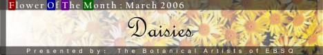 Banner for Flower of the Month: Daisies art show