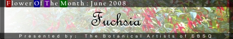 Banner for Flower of the Month: Fuchsia art show