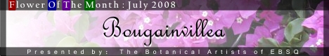 Banner for Flower of the Month: Bougainvillea art show