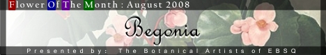 Banner for Flower of the Month: Begonia art show