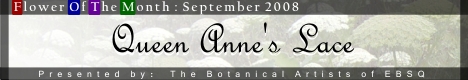 Banner for Flower of the Month: Queen Anne’s Lace art show