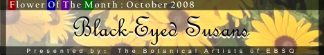 Banner for Flower of the Month: Black-Eyed Susan art show
