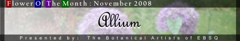 Banner for Flower of the Month: Allium art show