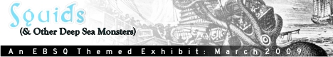 Banner for Squid (& Other Deep Sea Monsters) art show
