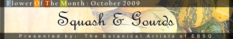 Banner for Flower of the Month: Squash & Gourds art show