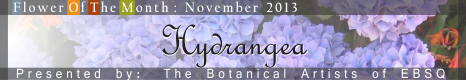 Banner for Flower of the Month: Hydrangea art show