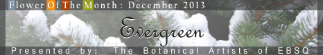 Banner for Flower of the Month: Evergreens art show