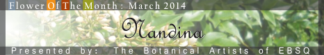 Banner for Flower of the Month: Nandina art show