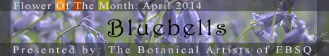 Banner for Flower of the Month: Bluebells art show