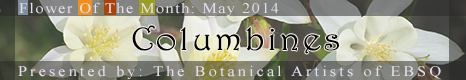 Banner for Flower of the Month: Columbines art show