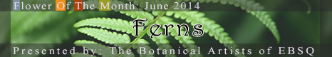 Banner for Flower of the Month: Ferns art show