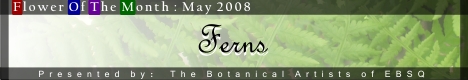 Banner for Flower of the Month: Ferns art show