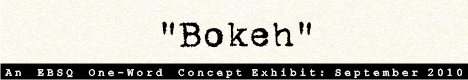 Banner for One-Word Concept: Bokeh art show