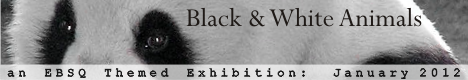 Banner for Black & White Animals art show