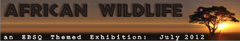 Banner for African Wildlife art show