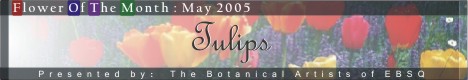 Banner for Flower of the Month: Tulips art show