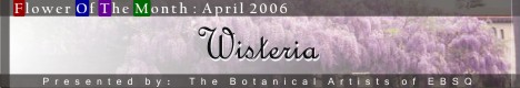 Banner for Flower of the Month: Wisteria art show