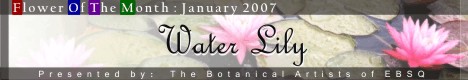 Banner for Flower of the Month:Waterlilies art show