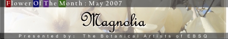 Banner for Flower of the Month: Magnolia art show