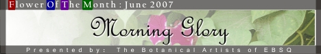Banner for Flower of the Month: Morning Glory art show