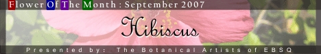 Banner for Flower of the Month: Hibiscus art show