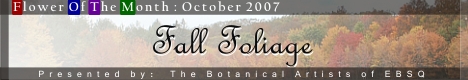 Banner for Flower of the Month: Fall Foliage art show