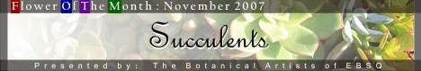 Banner for Flower of the Month: Succulents art show