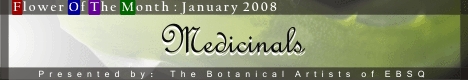Banner for Flower of the Month: Medicinal Plants art show