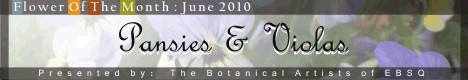 Banner for Flower of the Month: Pansies & Violas art show