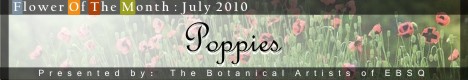 Banner for Flower of the Month: Poppies 2010 art show