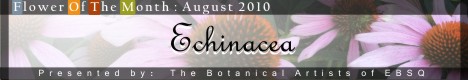 Banner for Flower of the Month: Echinacea 2010 art show