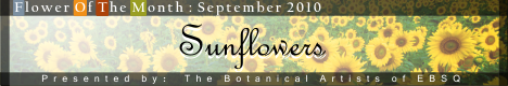 Banner for Flower of the Month: Sunflower art show