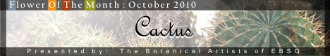 Banner for Flower of the Month: Cactus art show