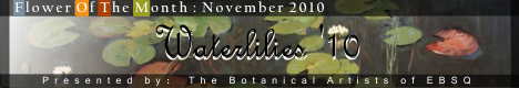 Banner for Flower of the Month: Waterlilies art show