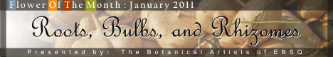 Banner for Below the Earth: Roots, Bulbs, and Rhizomes art show